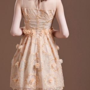 Flower Stitching Lace Dress Ax082410ax