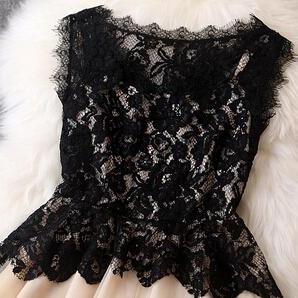 Sexy Black Lace Dress Ax092112ax