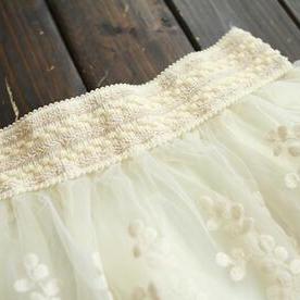 Sweet Embroidered Lace Skirts Ax102303ax