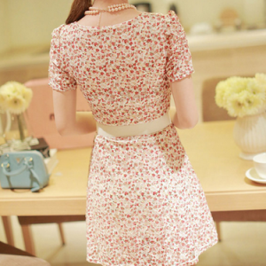 Slim Lace Short-sleeved Dress Ax103001ax