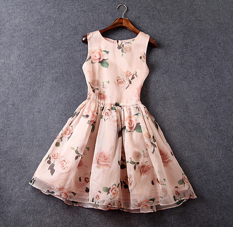 Floral Printed Sleeveless Fit And Flare Dress